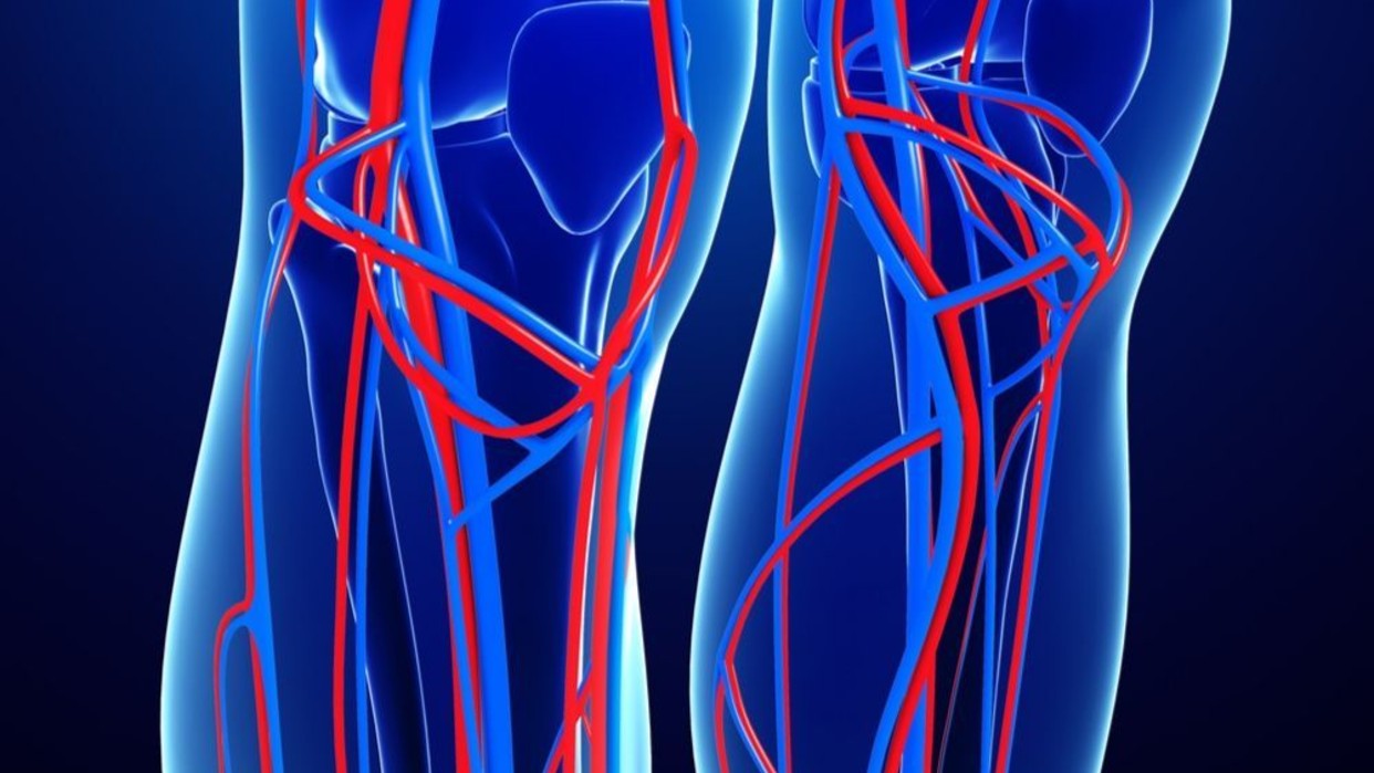 Blue veins image