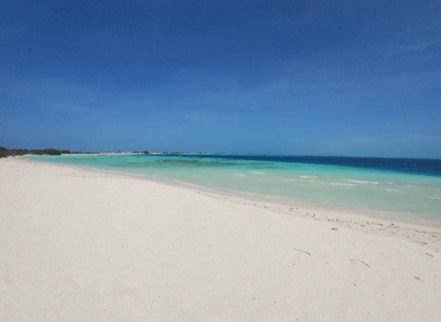 Encuentros Turísticos de Marcas en el archipiélago de Los Roques