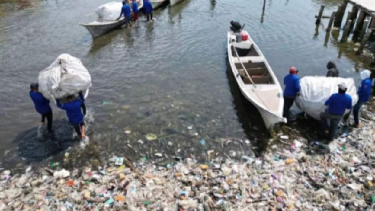 Recolectaron más de 21 000 toneladas de desechos del Lago de Maracaibo