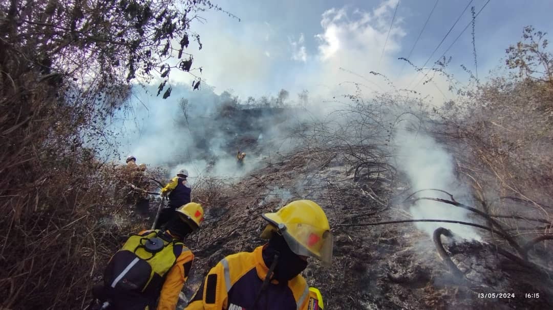 Más de 100 funcionarios desplegados para combatir incendio en sector