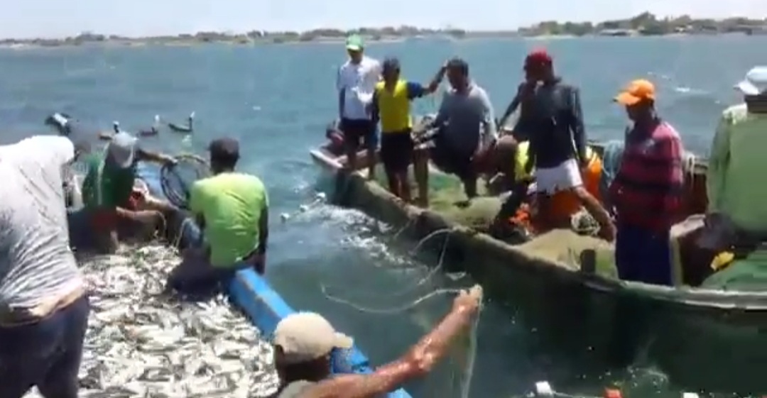 Pescadores Artesanales Rechazan Eliminación De Subsidio Al Combustible