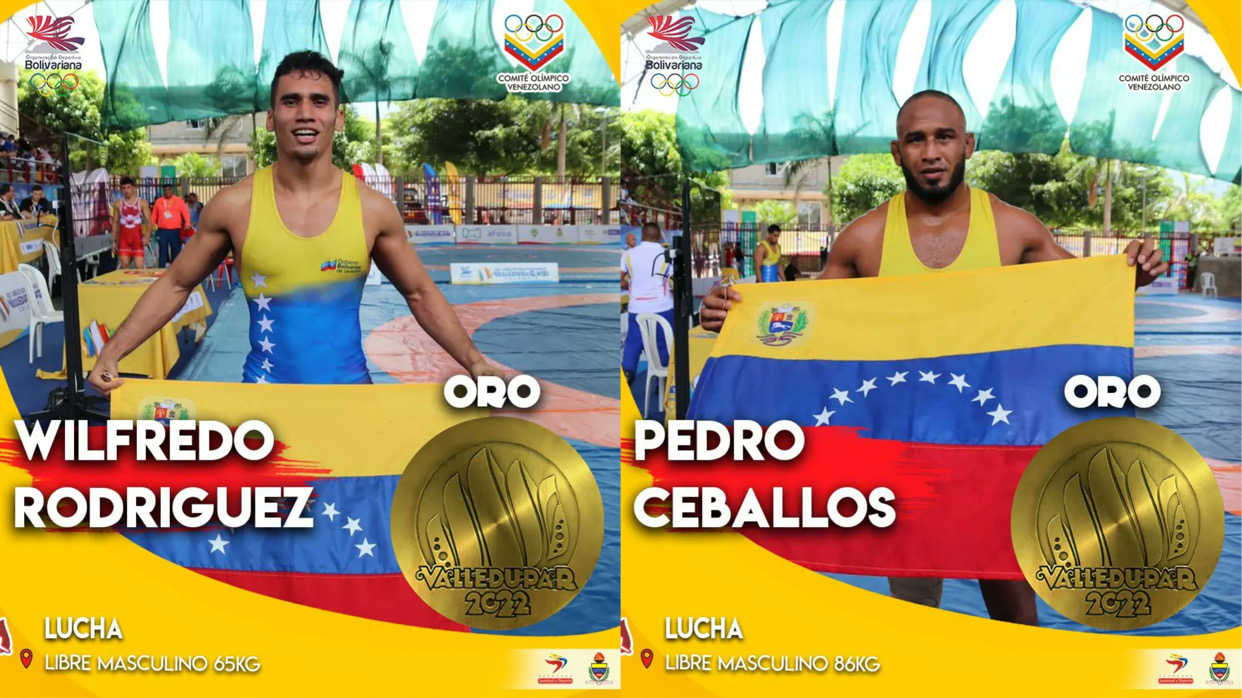 Venezuela Logra Cuatro Medallas De Oro En Lucha Libre Masculina Valledupar 2022