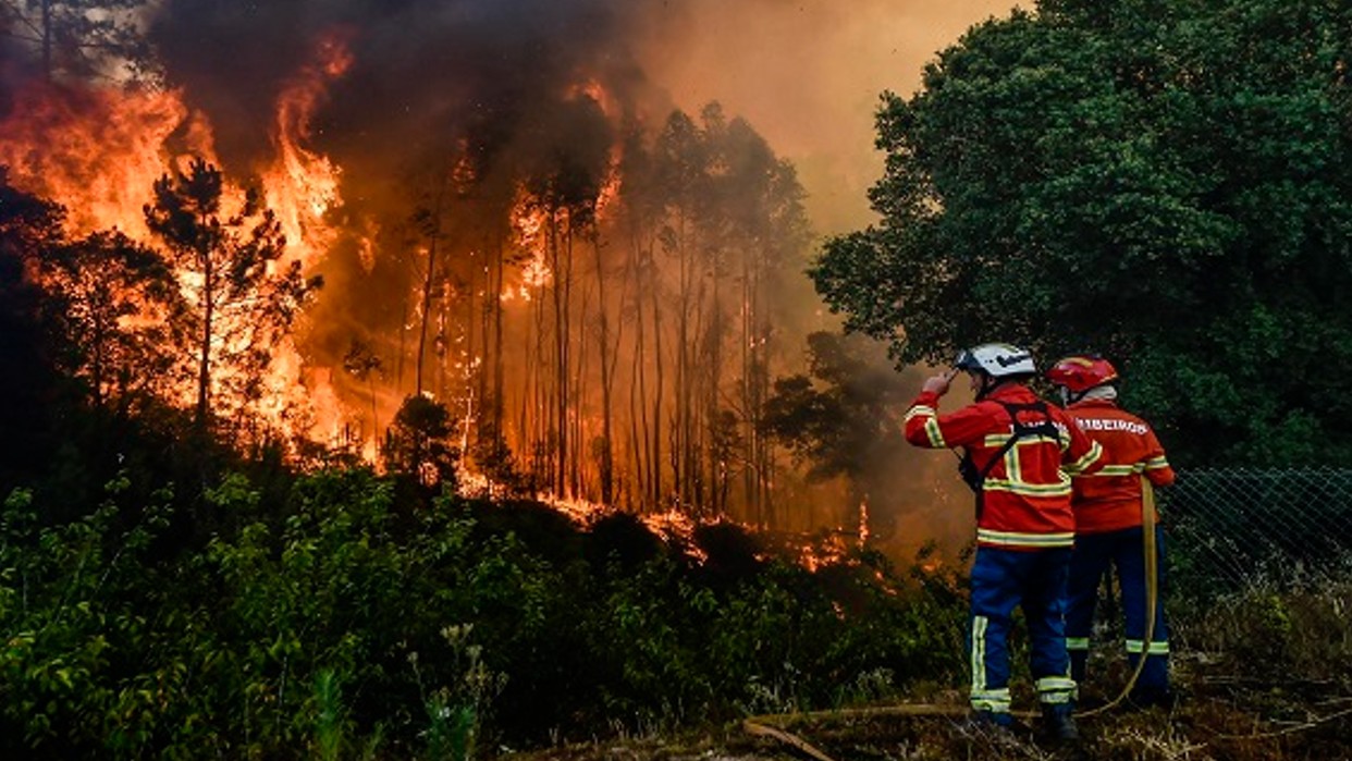 Más de 400 bomberos combaten incendio forestal en el centro de Portugal 