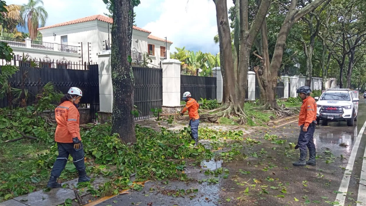 Precipitaciones dejan al menos 7 árboles caídos y un conato de incendio en Chacao