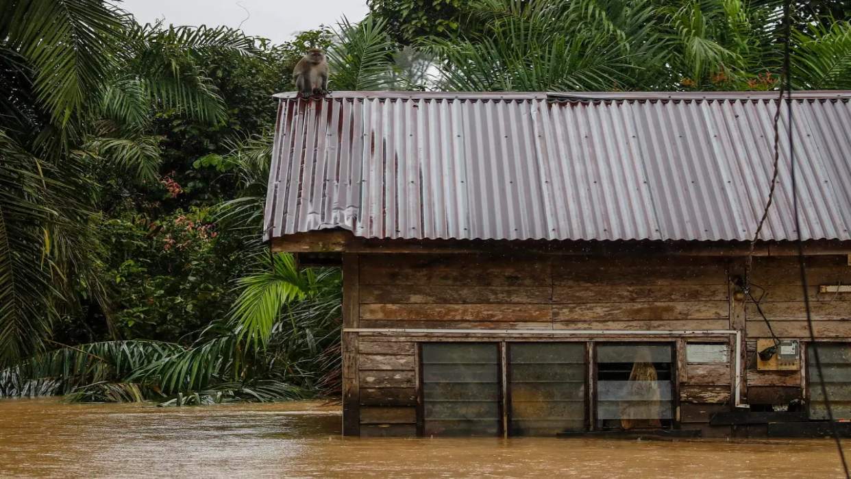 Al Menos 3 Muertos Y Casi 35 000 Evacuados Por Inundaciones En Malasia