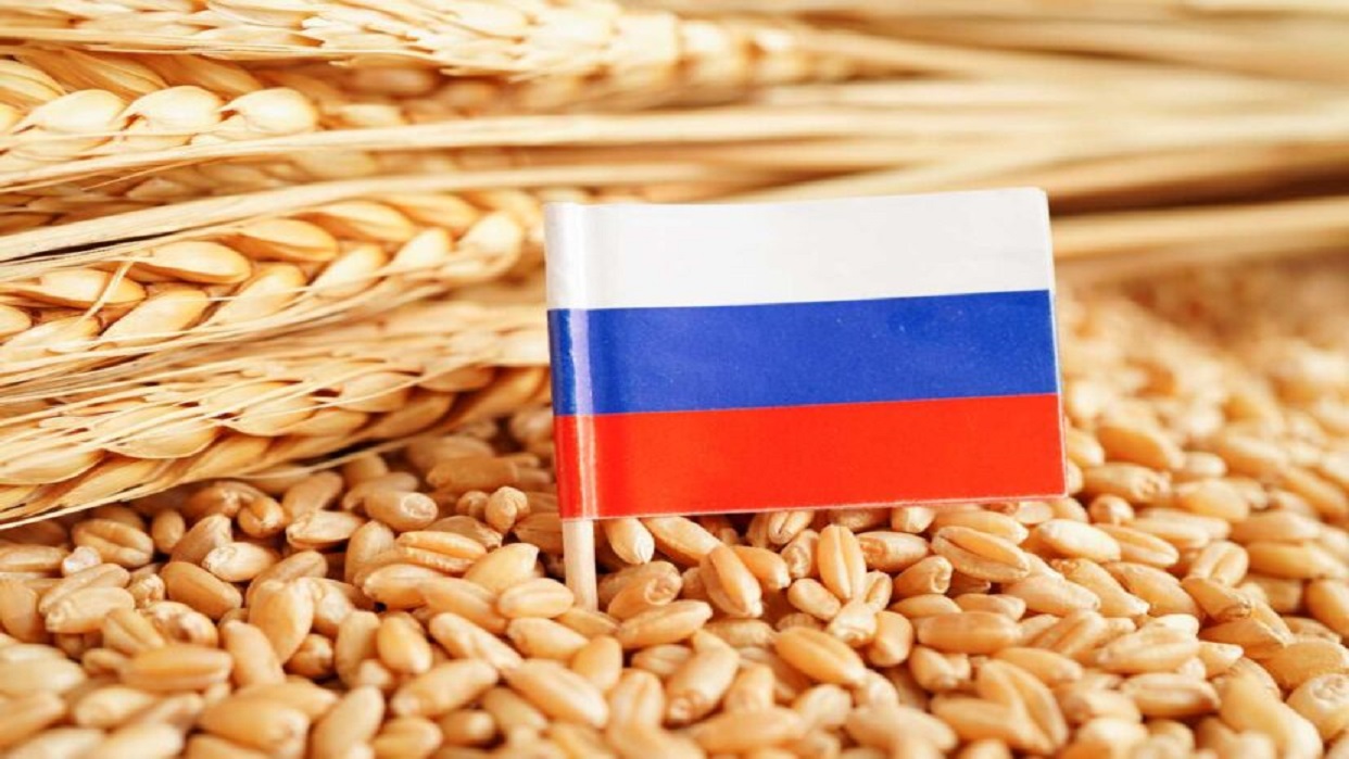 Putin confirma su disposición a volver al pacto de cereales si Occidente  cumple los compromisos