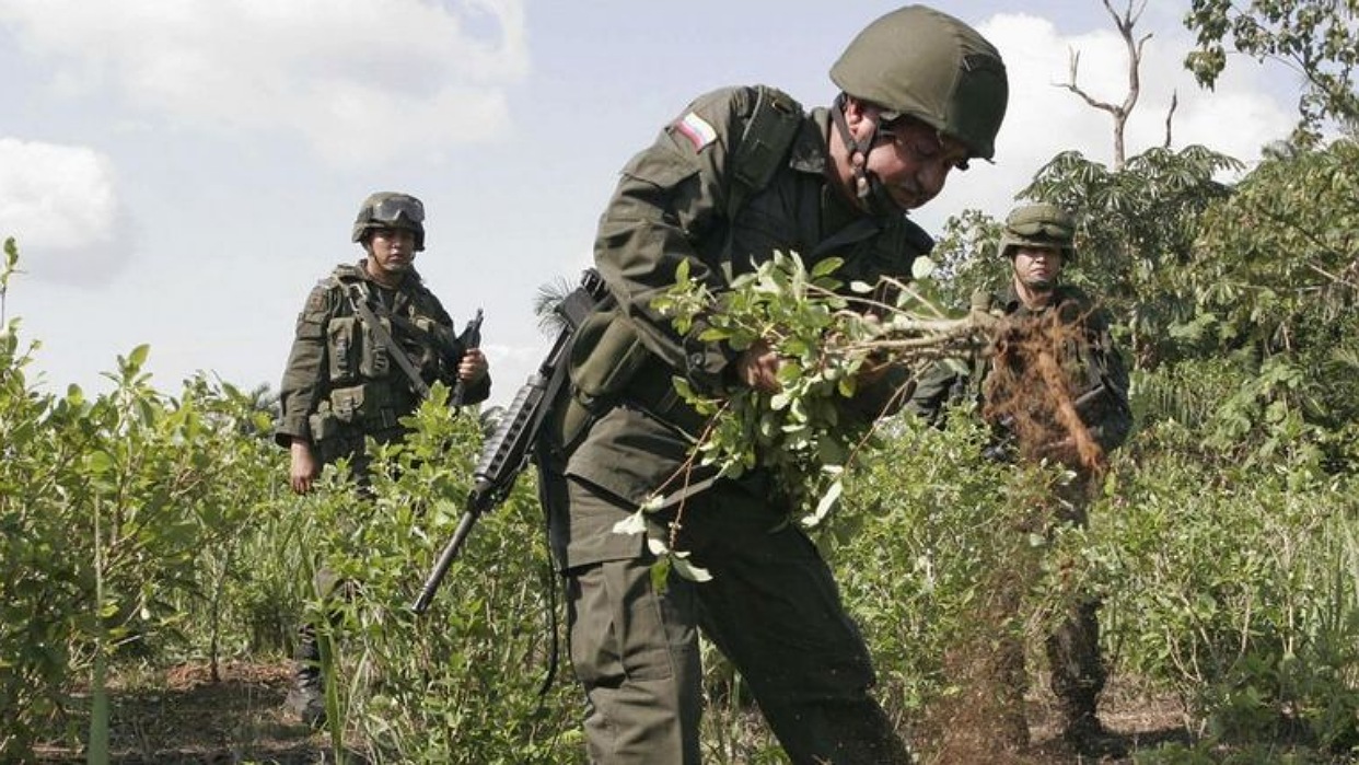 Bloomberg: ¿Quién es quién en las rutas del narcotráfico en América Latina